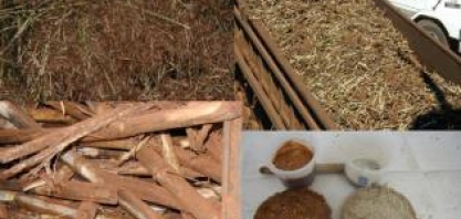 Perdas industriais aumentam ao longo das últimas safras no Centro-Sul