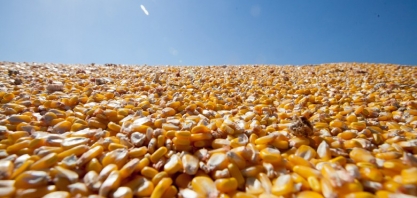 Sinop pode receber usina de etanol de milho similar a de Lucas do Rio Verde
