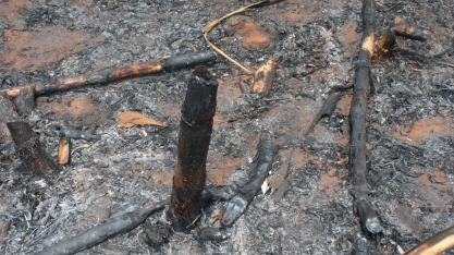 Incêndios criminosos em canaviais geram multas e perdas para o setor