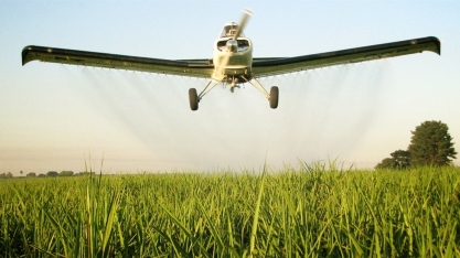 Em área maturada, Araporã Bioenergia alcançou 132,48 kg de ATR/ha, contra 126,44 kg de ATR/ha da testemunha