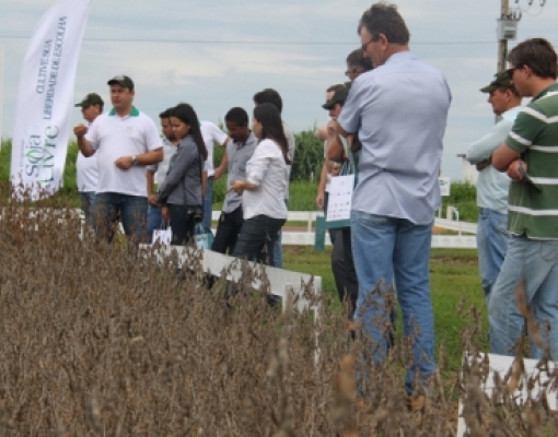 Plantio é alternativa para a resistência ao uso do glifosato.  Foto de Simone Casagrande/Embrapa