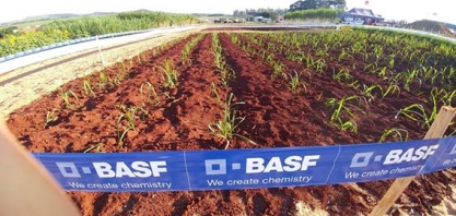 Agrishow 2017 tem área de dois hectares especialmente destinada para Dias de Campo sobre sistema de MPB