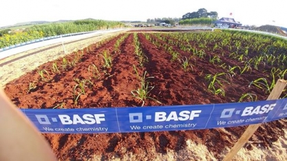 Agrishow 2017 tem área de dois hectares especialmente destinada para Dias de Campo sobre sistema de MPB