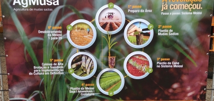 Sem planejamento não existe sistema perfeito de MPB/Meiosi