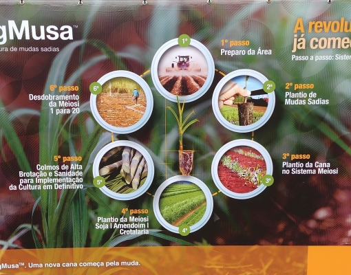 Passo a passo do sistema de MPB/Meiosi