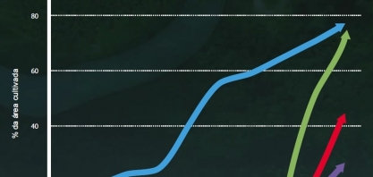 Transgênicos já dominam os cultivos de soja, milho e algodão