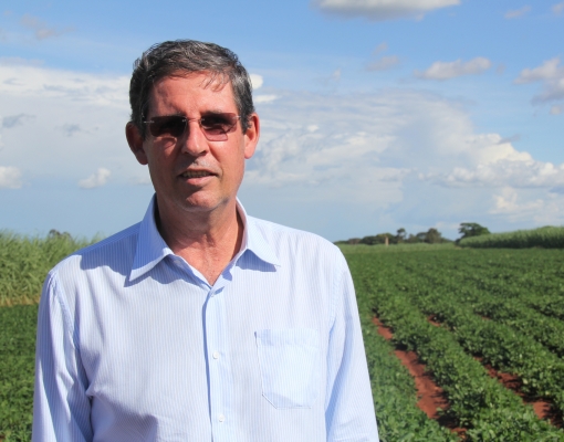 “Não vejo outra maneira de formar canavial bem-formado e saudável se não for por esse método”, afirma Ismael