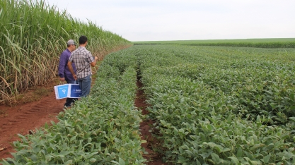Produtor de cana não, produtor rural!