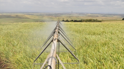 Aumento da produtividade e rentabilidade com a utilização da irrigação em cana-de-açúcar