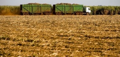 Encontro em Dourados fala sobre zoneamento e clima para plantação de cana-de-açúcar