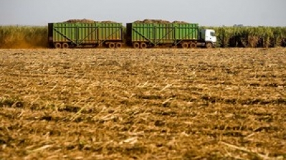 Encontro em Dourados fala sobre zoneamento e clima para plantação de cana-de-açúcar
