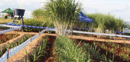 O espetáculo da MPB na Agrishow 2017