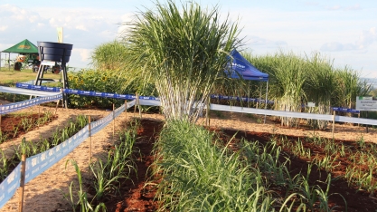 O espetáculo da MPB na Agrishow 2017