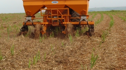 Maior quantidade de chuva facilita realizar a adubação bem-feita
