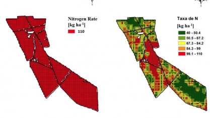 Manejo agrícola fica mais fácil e eficiente com o uso de sensores