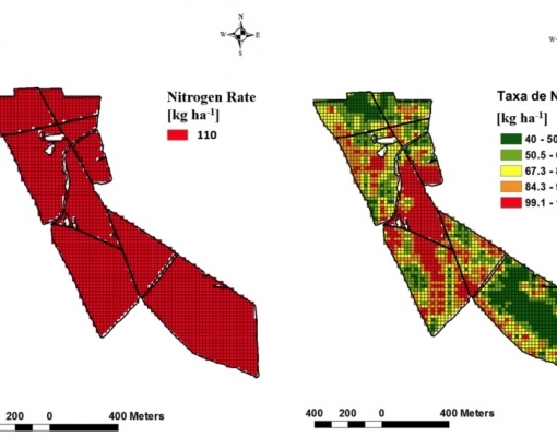 Sensores de solo atuarão de forma a melhorar a eficiência da amostragem de solo. Foto: Arquivo CanaOnline