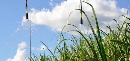 Pesquisadores da UNESP apontam a irrigação em cana como uma das ações necessárias para a elevação da produtividade
