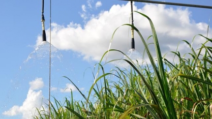 Pesquisadores da UNESP apontam a irrigação em cana como uma das ações necessárias para a elevação da produtividade