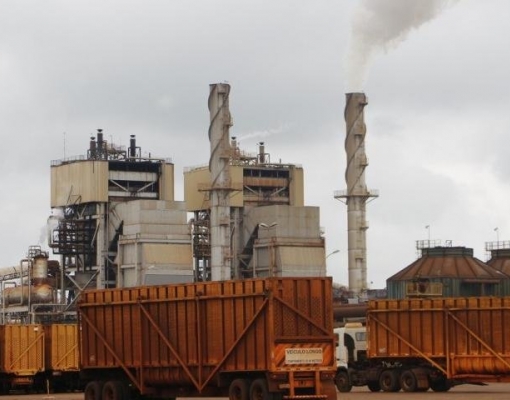 São Fernando está em processo de recuperação judicial desde 2013 (Foto: Helio de Freitas)