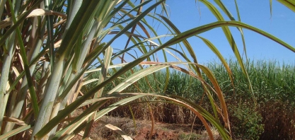 Juiz decreta falência do Infinity e Banestes perde R$57 milhões