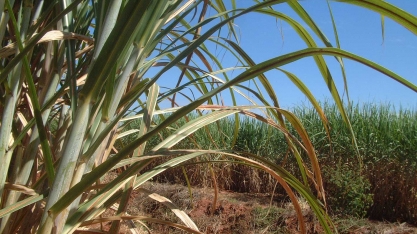 Juiz decreta falência do Infinity e Banestes perde R$57 milhões