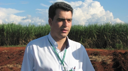 Para obter cana de três dígitos, Usina Guaíra prioriza preparo de solo e plantio de cana com qualidade