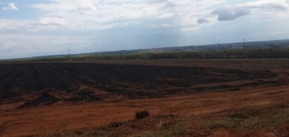Usina sucroenergética de MS é multada em R$ 450 mil por incêndio em plantação de cana