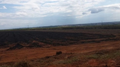 Usina sucroenergética de MS é multada em R$ 450 mil por incêndio em plantação de cana