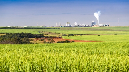 Pelo quarto ano consecutivo, Odebrecht Agroindustrial fecha safra com crescimento