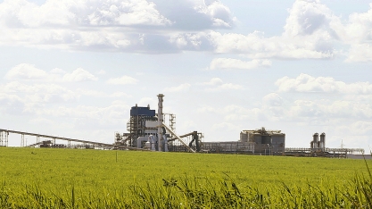 Plantio de cana bem-feito é prioridade na Usina Santa Vitória