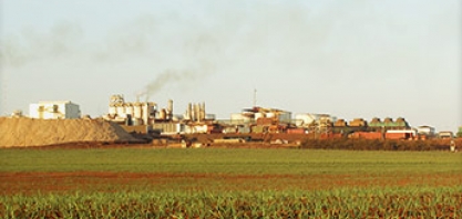 Usina Cevasa suspende pagamentos de empréstimos, dizem fontes