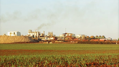 Usina Cevasa suspende pagamentos de empréstimos, dizem fontes