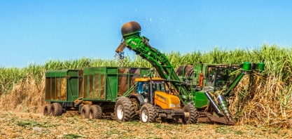 Jalles Machado conta com a eficiência feminina para melhorar o desempenho