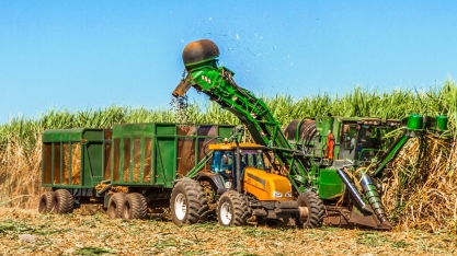 Jalles Machado conta com a eficiência feminina para melhorar o desempenho