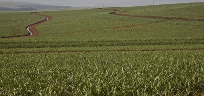 Uso da capacidade instalada das usinas da Biosev atinge recorde de 86,6%