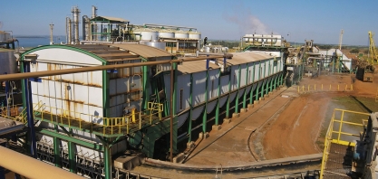 Guarani amplia vendas de açúcar no varejo doméstico