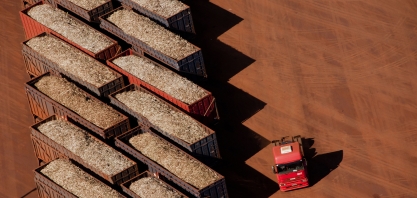 IFC anuncia financiamento de US$90 mi para grupo São Martinho