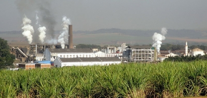 São Martinho registra lucro líquido de R$ 119,4 mi no 4º trimestre