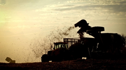 Devendo R$ 500 milhões, usina Cevasa vira problema para Cargill