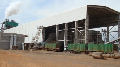 Renuka acredita que produção de cana em 2017 será menor do que o previsto