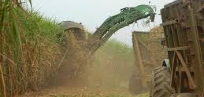 Maioria das usinas brasileiras de cana ainda enfrentam dificuldades financeiras