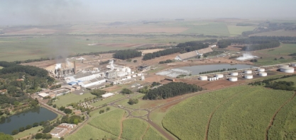 Bradesco BBI corta preço-alvo de ação da São Martinho por desvalorização do açúcar