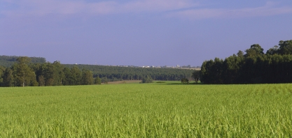 No Desafio MultiplicAção, quem escolhe o vencedor são as próprias usinas