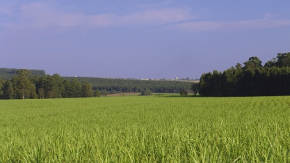 No Desafio MultiplicAção, quem escolhe o vencedor são as próprias usinas