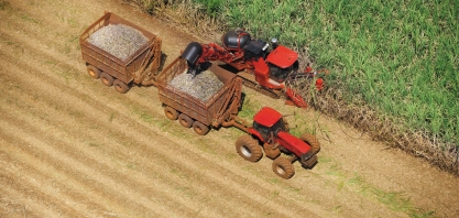 Moagem do Grupo São Martinho na safra 2016/17 foi de 19.281 milhões de toneladas de cana