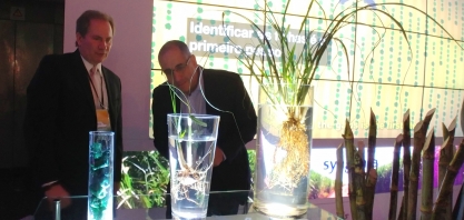 Desempenho da semente artificial de cana encanta Ceo da Biosev