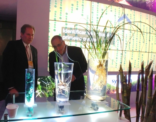 Daniel Bachner, Ceo da Syngenta, apresenta a Rui Chammas, Ceo da Biosev, o Plene Emerald: da semente artificial de cana até a touceira formada