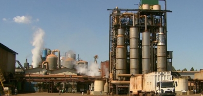 Demanda internacional por açúcar reduz ociosidade em indústrias de Sertãozinho