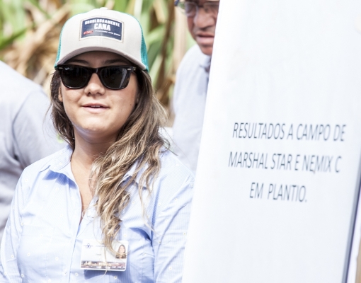 Thais Magalhães se impressionou com os resultados do Marshal Star na área da Usina Santa Fé: “Realmente, fungicida não controla nematoides”