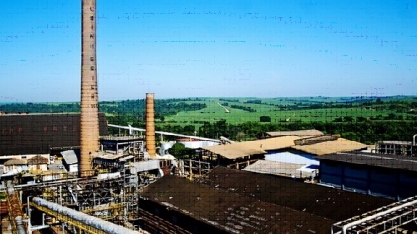 Usina Ester registra recorde de moagem na safra 2016/17